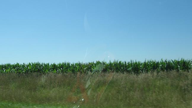 Cornfields on way to Cornerstone