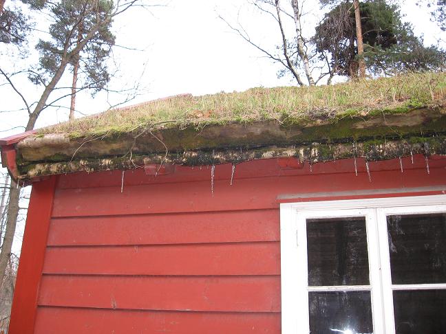 Thatched roof with icicles